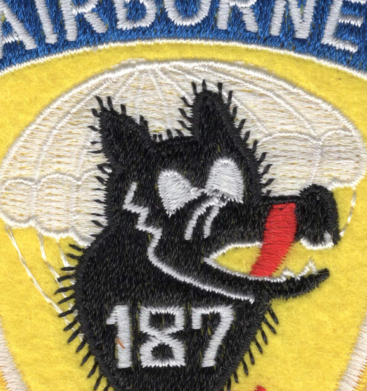 Amazon.com: 187th Airborne Infantry Regiment Collectible Novelty